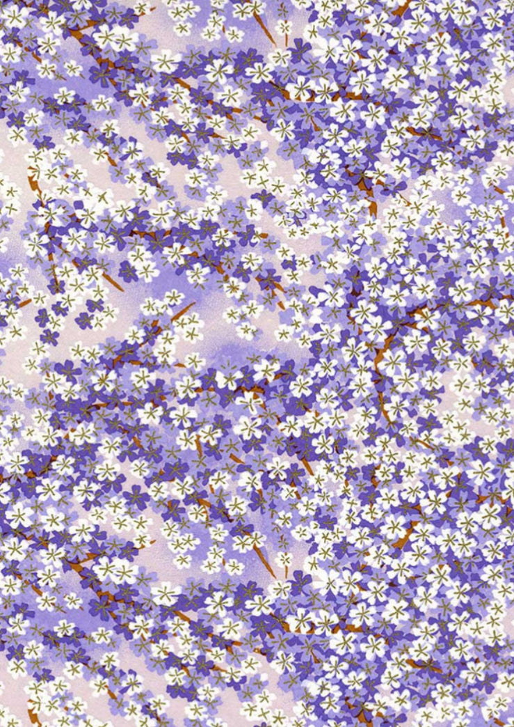 Purple-White Flowers