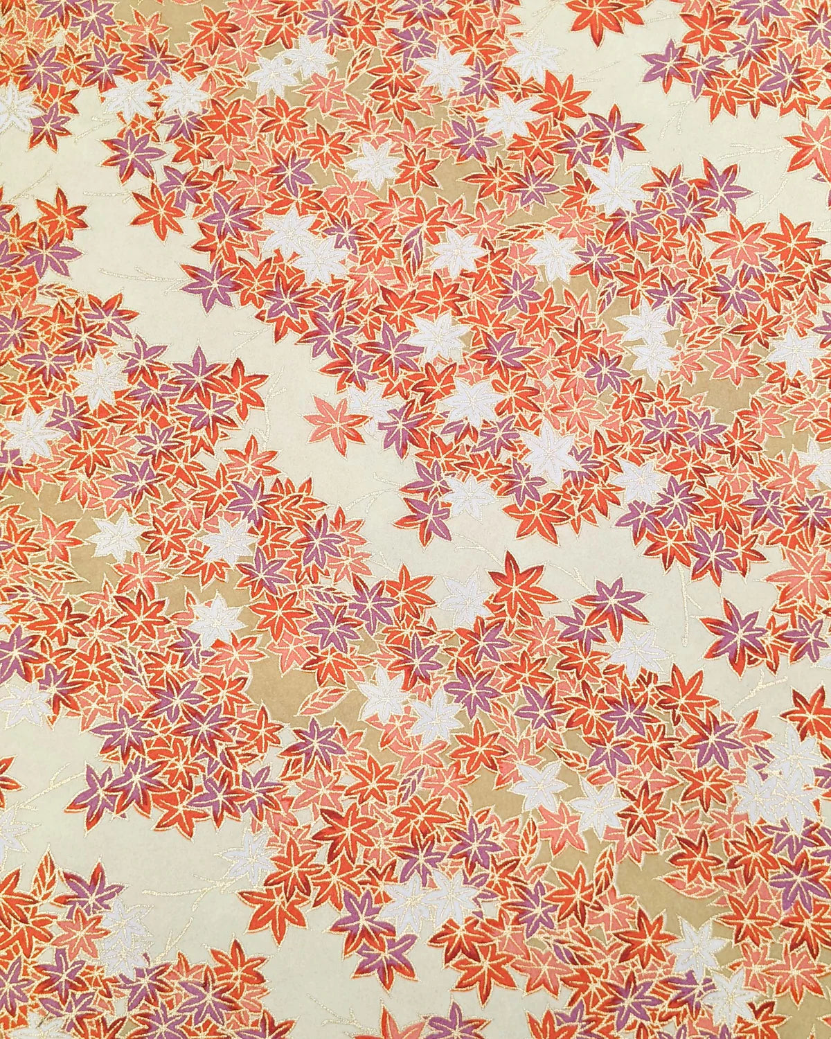 Cream- Orange Maples