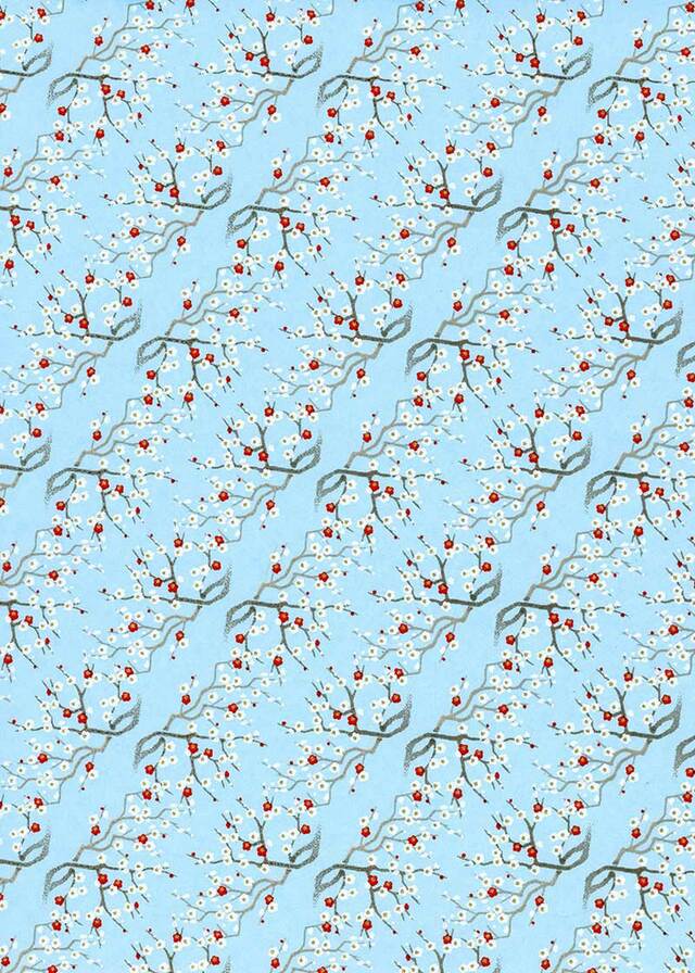 Blue- White Red Flowers