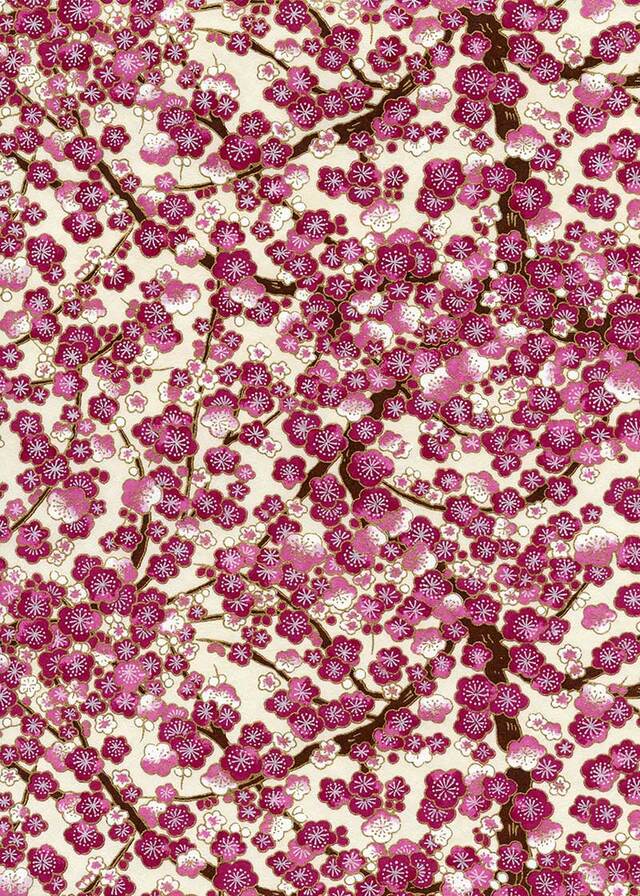 White-Red Purple Flowers