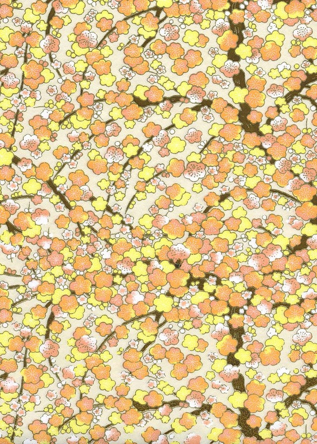 White- Yellow Orange Flowers