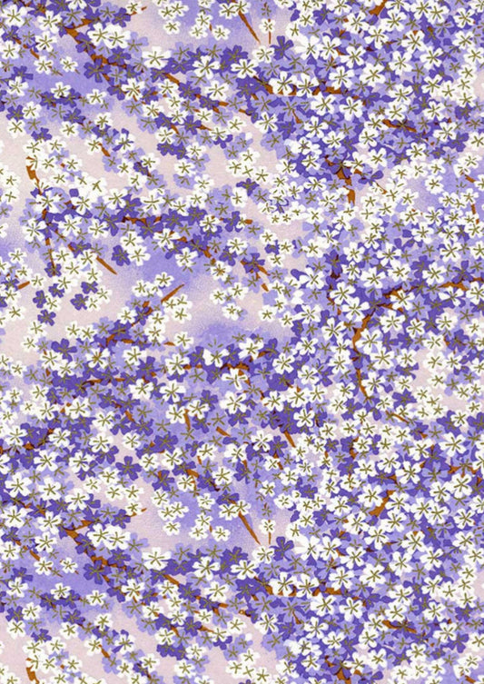 Purple-White Flowers