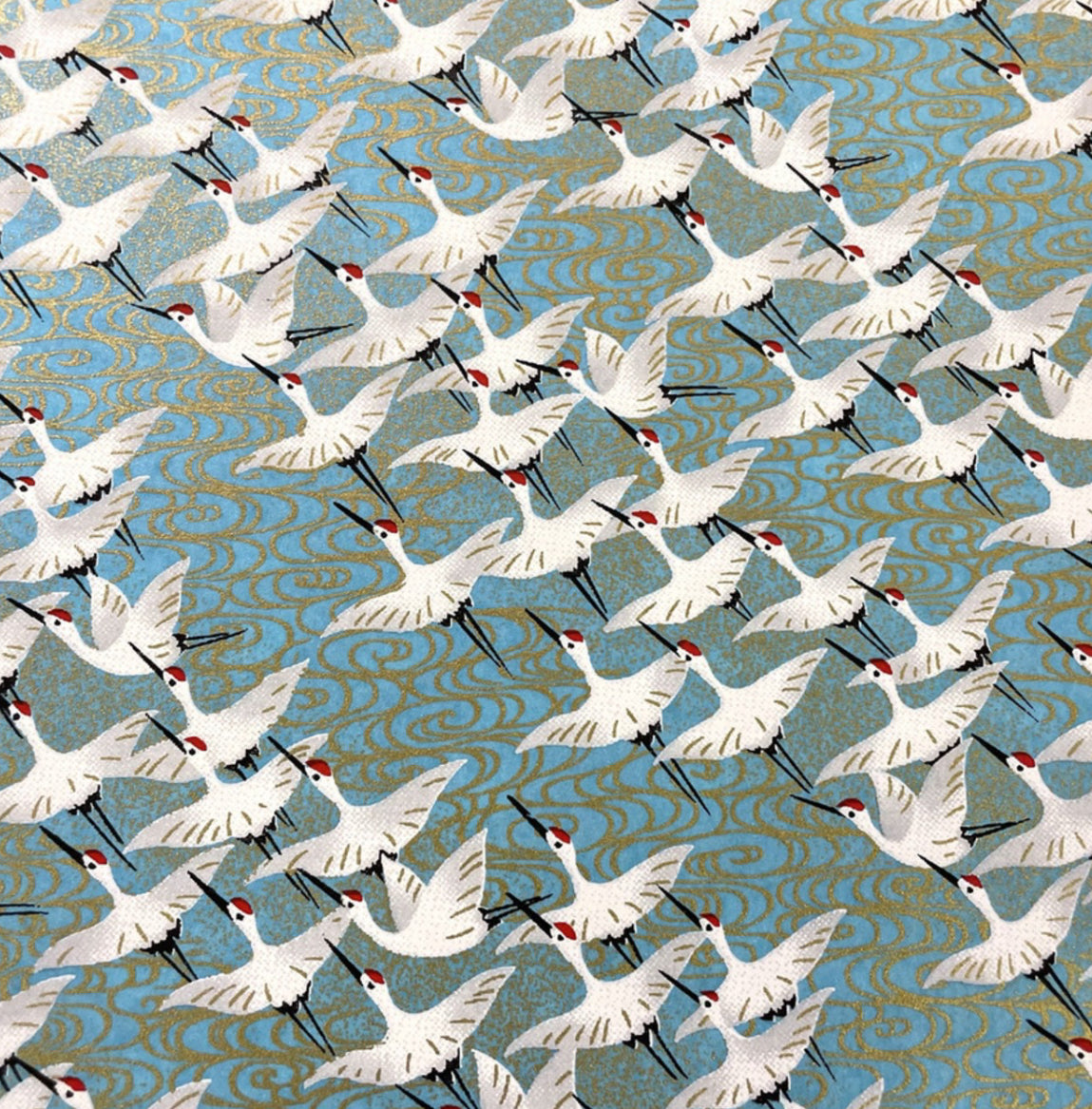 Blue- Cranes