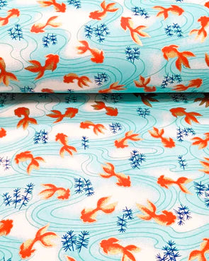 Blue-Orange Goldfish